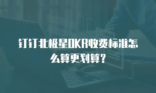 钉钉北极星OKR收费标准怎么算更划算？