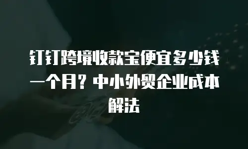 钉钉跨境收款宝便宜多少钱一个月？中小外贸企业成本解法