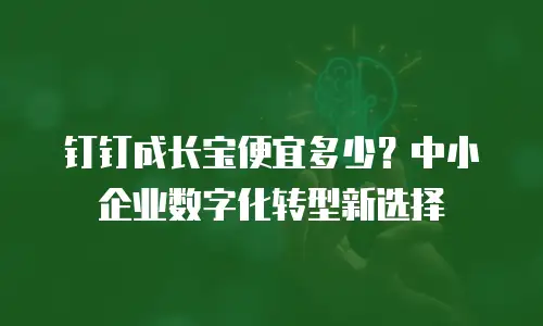 钉钉成长宝便宜多少？中小企业数字化转型新选择
