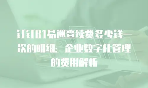钉钉B1易巡查续费多少钱一次的明细：企业数字化管理的费用解析