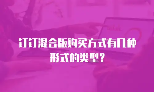 钉钉混合版购买方式有几种形式的类型？
