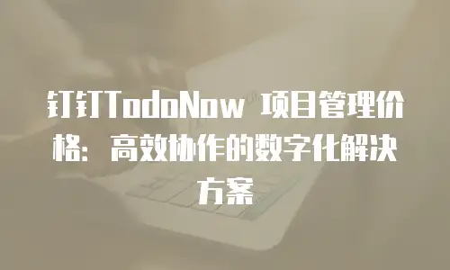 钉钉TodoNow 项目管理价格：高效协作的数字化解决方案