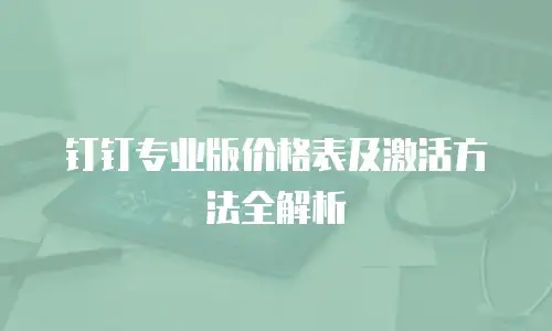 钉钉专业版价格表及激活方法全解析