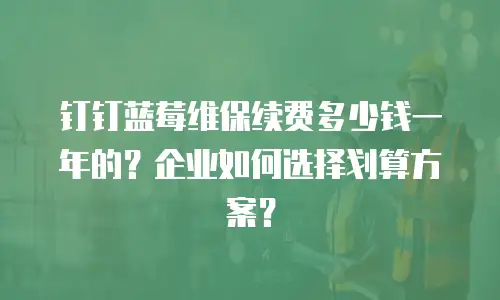 钉钉蓝莓维保续费多少钱一年的？企业如何选择划算方案？
