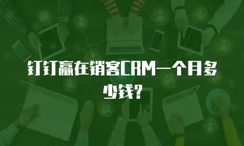 钉钉赢在销客CRM一个月多少钱？