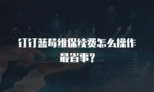 钉钉蓝莓维保续费怎么操作最省事？