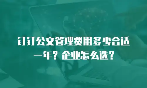 钉钉公文管理费用多少合适一年？企业怎么选？