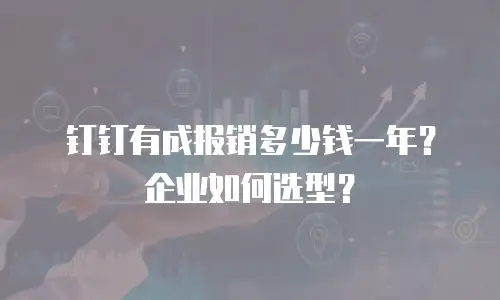 钉钉有成报销多少钱一年？企业如何选型？