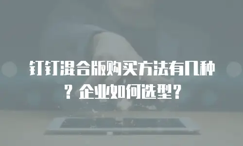 钉钉混合版购买方法有几种？企业如何选型？