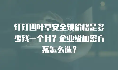 钉钉四叶草安全锁价格是多少钱一个月？企业级加密方案怎么选？