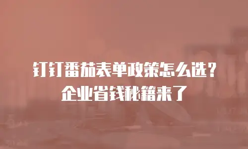 钉钉番茄表单政策怎么选？企业省钱秘籍来了