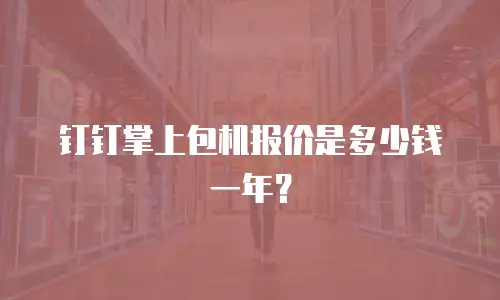 钉钉掌上包机报价是多少钱一年？