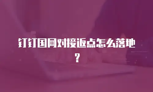 钉钉国网对接返点怎么落地？