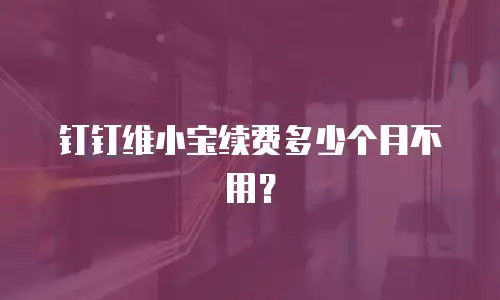 钉钉维小宝续费多少个月不用？