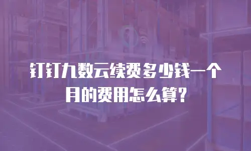 钉钉九数云续费多少钱一个月的费用怎么算？
