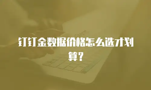钉钉金数据价格怎么选才划算？