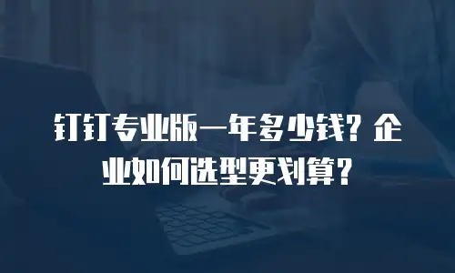 钉钉专业版一年多少钱？企业如何选型更划算？
