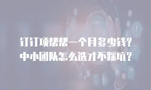 钉钉项帮帮一个月多少钱？中小团队怎么选才不踩坑？