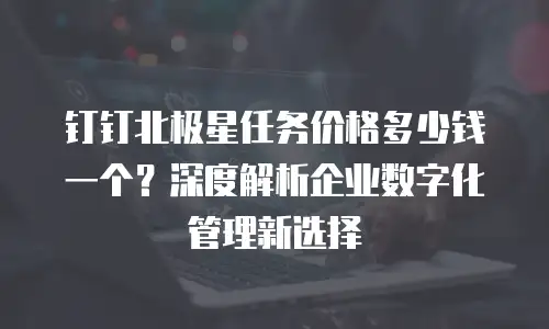 钉钉北极星任务价格多少钱一个？深度解析企业数字化管理新选择