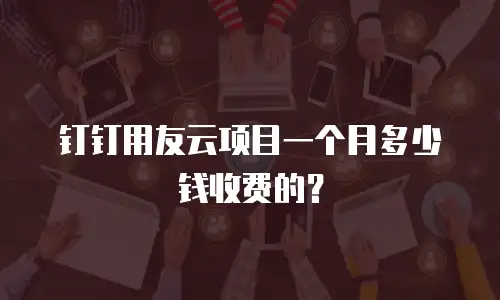钉钉用友云项目一个月多少钱收费的？