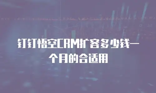 钉钉悟空CRM扩容多少钱一个月的合适用