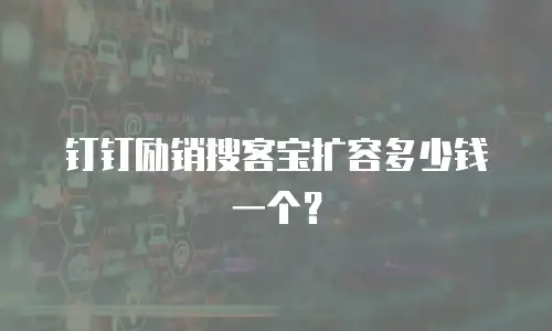 钉钉励销搜客宝扩容多少钱一个？