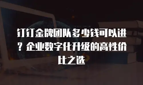 钉钉金牌团队多少钱可以进？企业数字化升级的高性价比之选