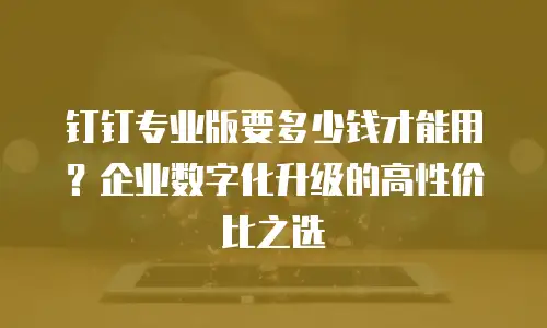 钉钉专业版要多少钱才能用？企业数字化升级的高性价比之选