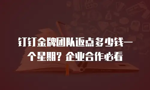 钉钉金牌团队返点多少钱一个星期？企业合作必看