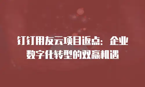钉钉用友云项目返点：企业数字化转型的双赢机遇