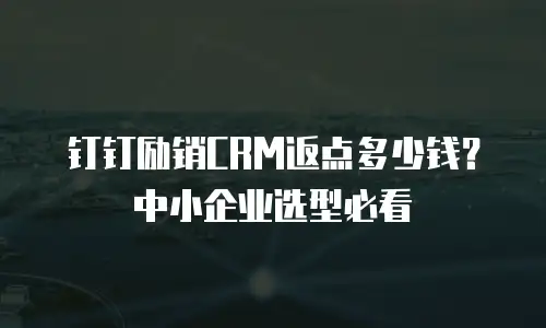 钉钉励销CRM返点多少钱？中小企业选型必看