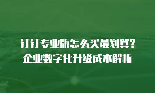 钉钉专业版怎么买最划算？企业数字化升级成本解析