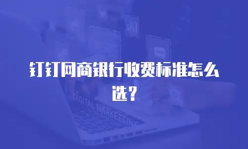 钉钉网商银行收费标准怎么选？