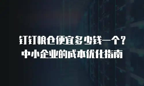钉钉粮仓便宜多少钱一个？中小企业的成本优化指南
