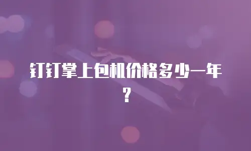 钉钉掌上包机价格多少一年？