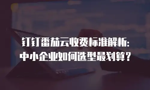 钉钉番茄云收费标准解析：中小企业如何选型最划算？