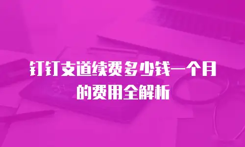钉钉支道续费多少钱一个月的费用全解析