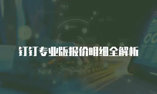 钉钉专业版报价明细全解析