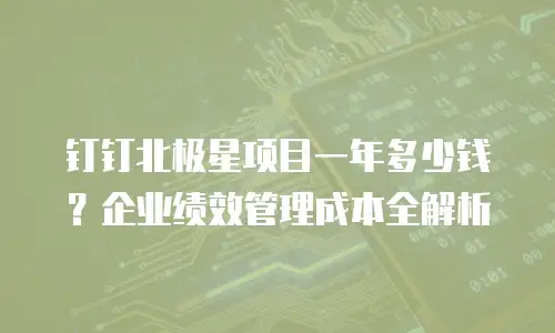 钉钉北极星项目一年多少钱？企业绩效管理成本全解析