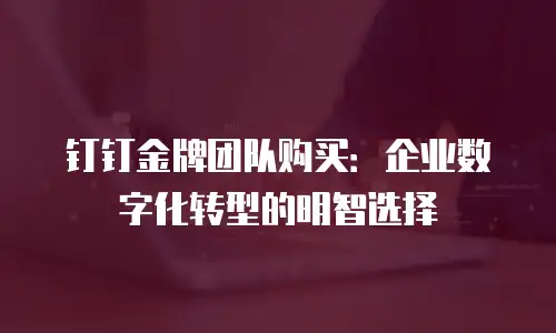钉钉金牌团队购买：企业数字化转型的明智选择