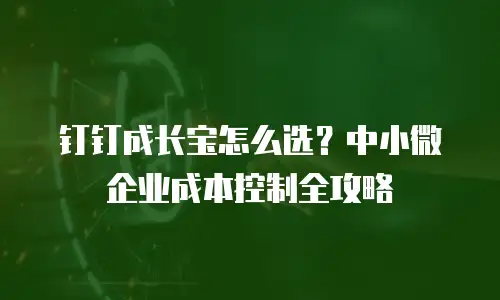 钉钉成长宝怎么选？中小微企业成本控制全攻略