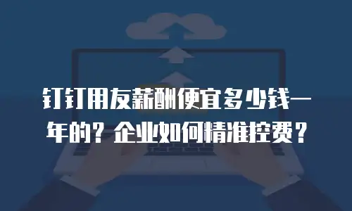 钉钉用友薪酬便宜多少钱一年的？企业如何精准控费？