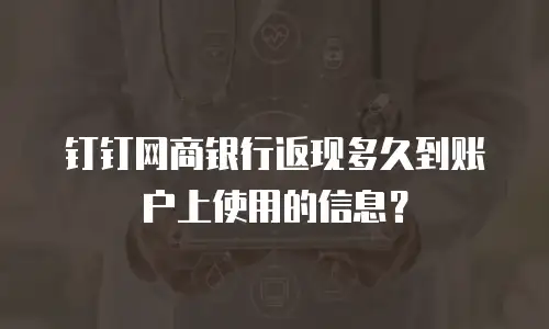 钉钉网商银行返现多久到账户上使用的信息？