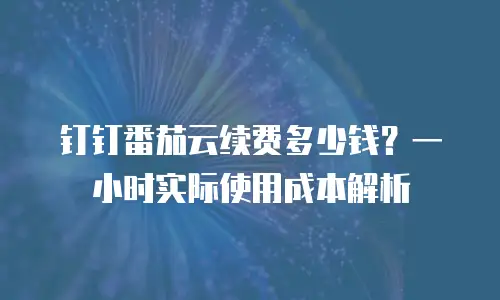 钉钉番茄云续费多少钱？一小时实际使用成本解析