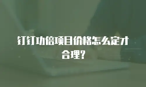 钉钉功倍项目价格怎么定才合理？