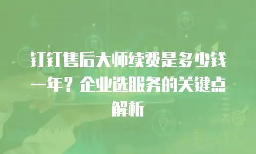 钉钉售后大师续费是多少钱一年？企业选服务的关键点解析