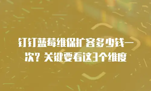 钉钉蓝莓维保扩容多少钱一次？关键要看这3个维度