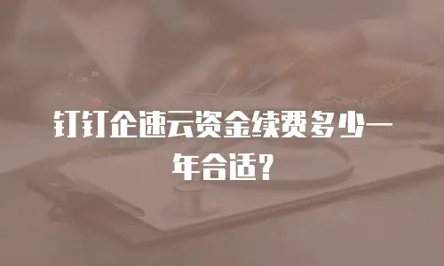 钉钉企速云资金续费多少一年合适？