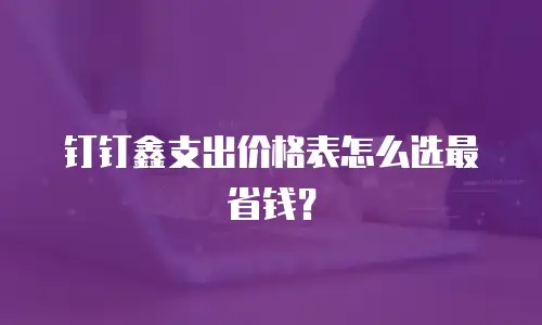 钉钉鑫支出价格表怎么选最省钱？