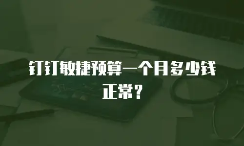 钉钉敏捷预算一个月多少钱正常？